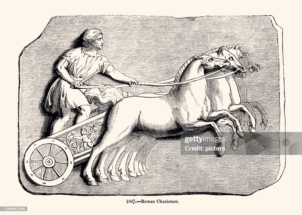 ANTIQUE CHARIOT RACING (XXXL)