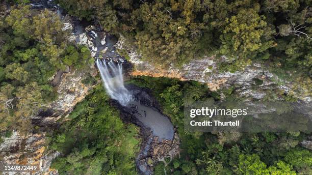 purlingbrook falls, springbrook np near gold coast, australia - australian rainforest stock pictures, royalty-free photos & images