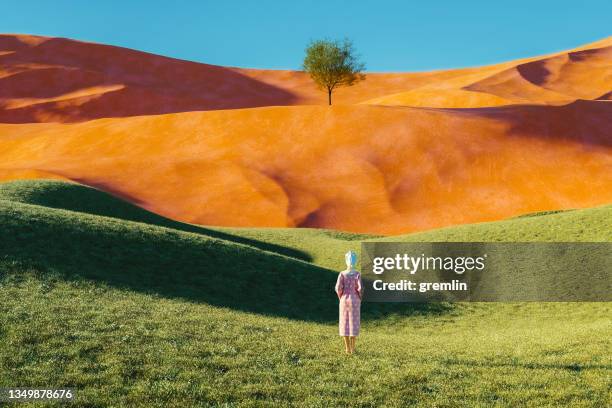 surreal landscape with woman in bathrobe - surrealismo imagens e fotografias de stock