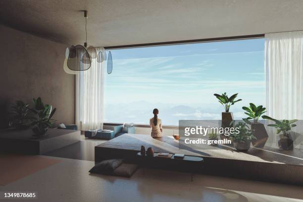 modernes wohnzimmer mit toller aussicht - luxury woman stock-fotos und bilder