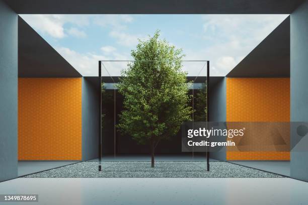modern office corridor with small tree - single tree stock pictures, royalty-free photos & images