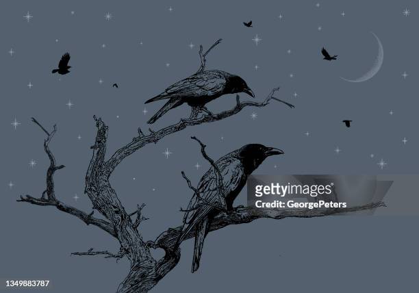 krähen, die nachts auf einem toten baum thronen - dead crow stock-grafiken, -clipart, -cartoons und -symbole