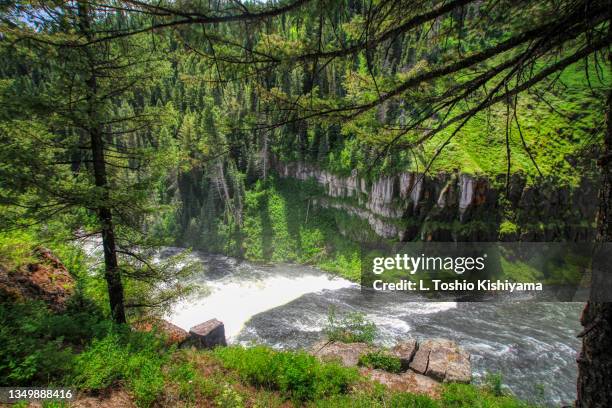 upper mesa falls in idaho - mesa falls stock pictures, royalty-free photos & images