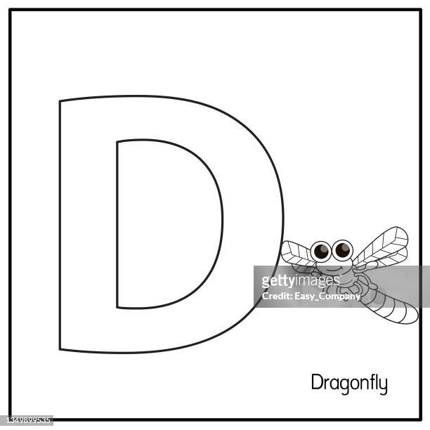 stockillustraties, clipart, cartoons en iconen met vector illustration of dragonfly with alphabet letter d upper case or capital letter for children learning practice abc - damselfly