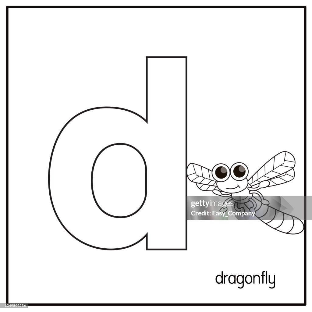 Vektorillustration von Dragonfly mit Alphabetbuchstaben D Kleinbuchstaben für Kinder Lernpraxis ABC