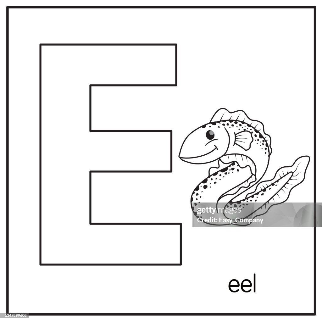 Vector illustration of Eel with alphabet letter D Upper case or capital letter for children learning practice ABC