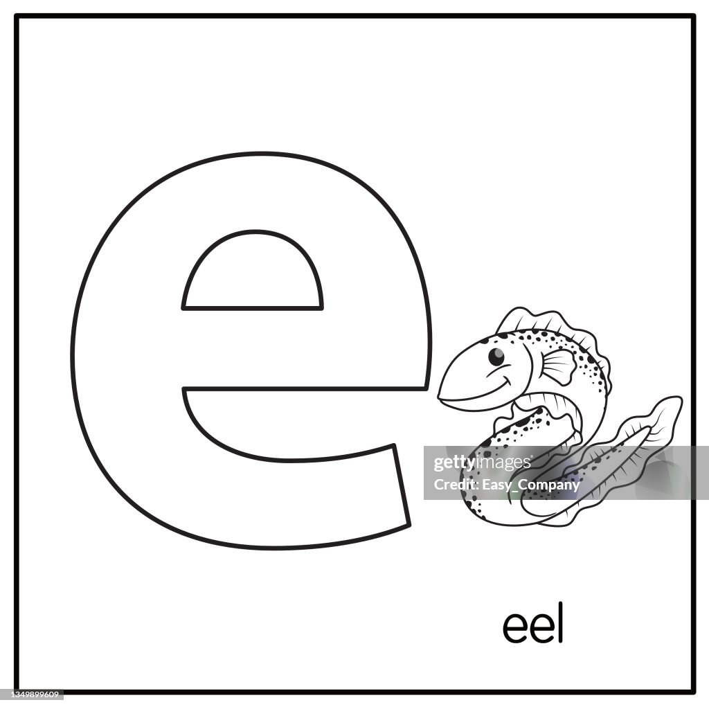 Vector illustration of Eel with alphabet letter D Lower case for children learning practice ABC