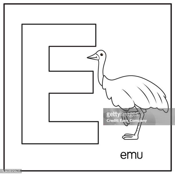 vector illustration of emu with alphabet letter e upper case or capital letter for children learning practice abc - gray eyes stock illustrations