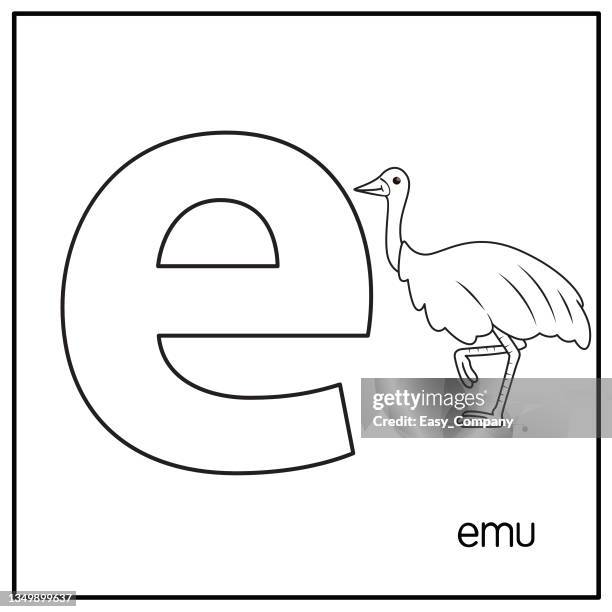 vector illustration of emu with alphabet letter e lower case  for children learning practice abc - gray eyes stock illustrations