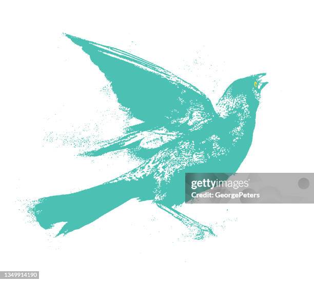 ilustrações de stock, clip art, desenhos animados e ícones de common grackle - territorial animal