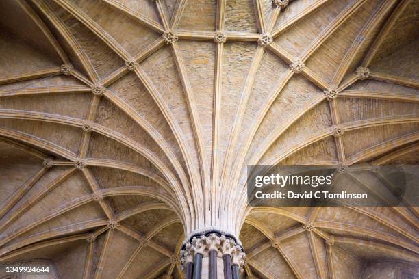 Vaulted Ribs Rib Vaulting Photos and Premium High Res Pictures - Getty Images