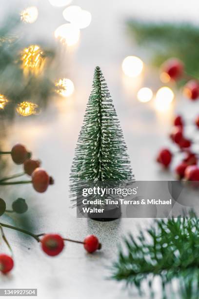 close up of christmas decorations and christmas cookies in star shape. - tannenzweig stock-fotos und bilder