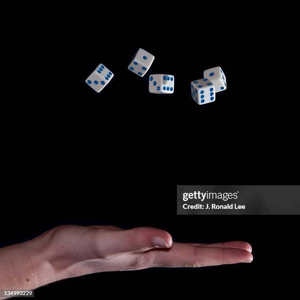 Lee R Dice 43 Lee Dice Stock Photos, High-Res Pictures, and Images - Getty Images