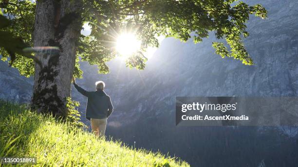 der mensch geht durch grasbewachsene wiesen, richtung baum - mindfulness stock-fotos und bilder