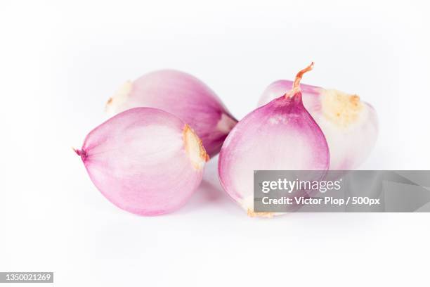 close-up of onions against white background - shallot stock pictures, royalty-free photos & images