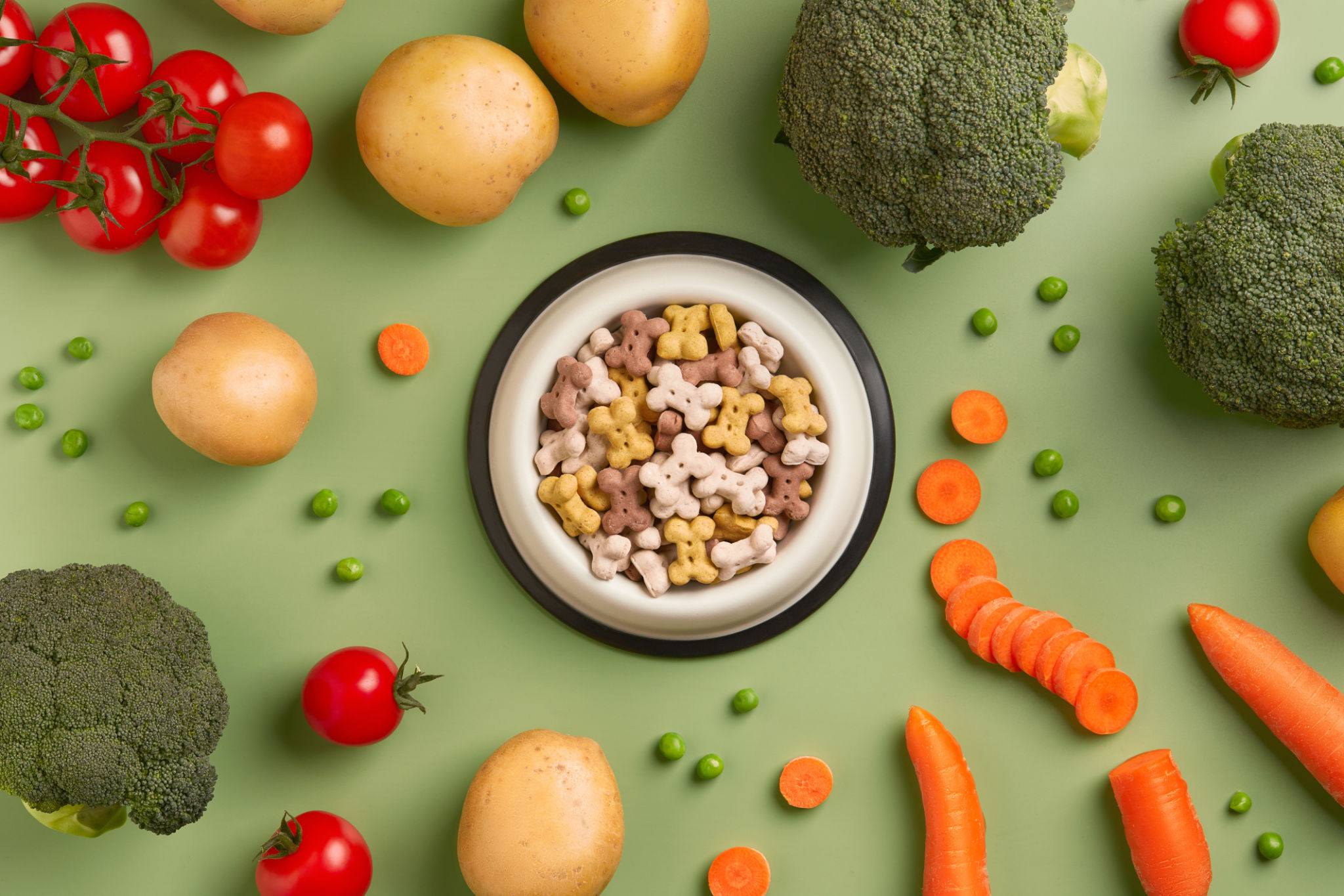 vegetarian dog food