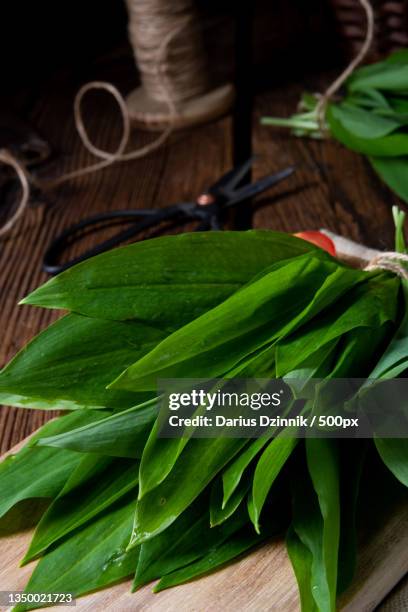 high angle view of vegetables on table - hintergrund grün stock pictures, royalty-free photos & images