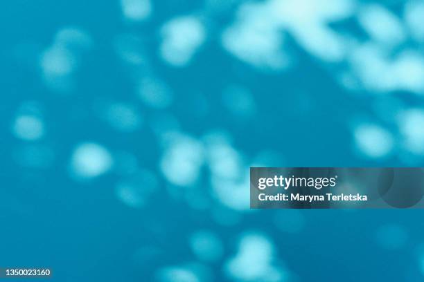 universal natural background with the shadow of a tree branch. - bakgrundsfokus bildbanksfoton och bilder