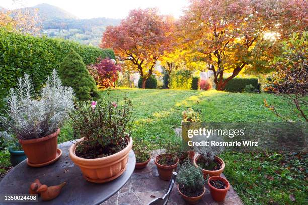 garden corner with flower pots  in autumn mood - giardino ornamentale foto e immagini stock