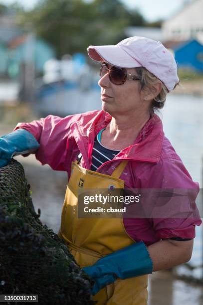 woman mussel farmer - oléron stock pictures, royalty-free photos & images