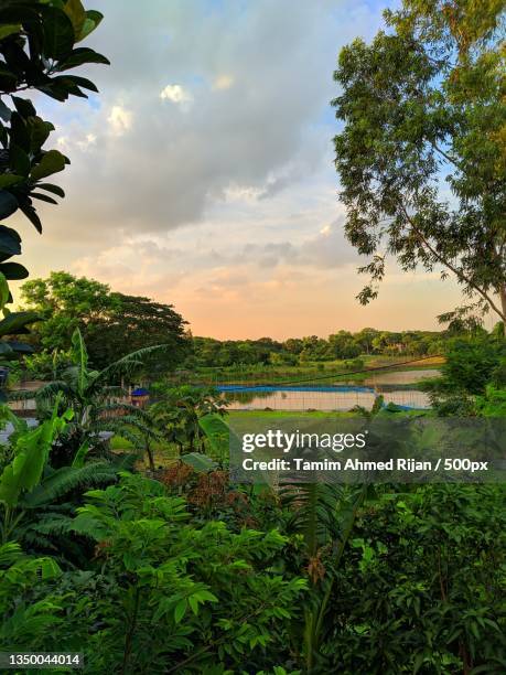 scenic view of lake against sky during sunset,dhaka,dhaka division,bangladesh - dhaka division - fotografias e filmes do acervo