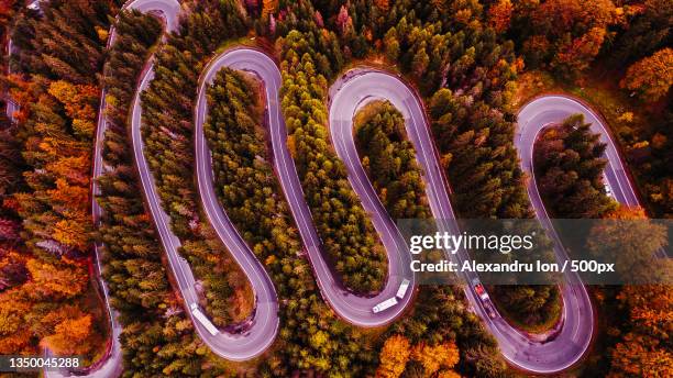 aerial view of winding road amidst trees in forest - winding road stock pictures, royalty-free photos & images