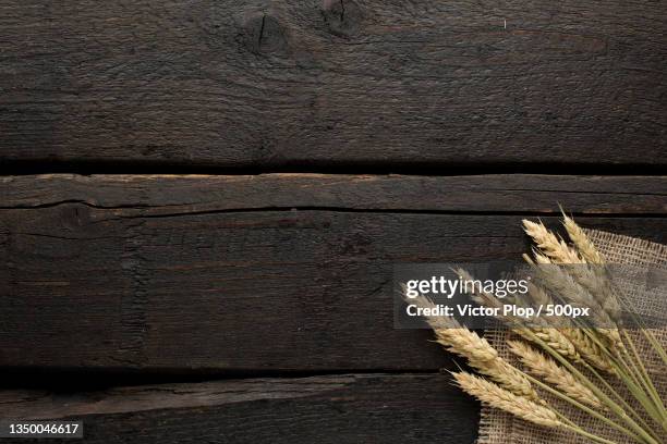 directly above shot of wheat on wooden table - harvest table stock-fotos und bilder