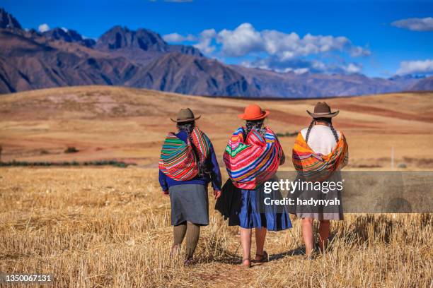 donne peruviane in abbigliamento nazionale che attraversano il campo, la valle sacra - cuzco foto e immagini stock