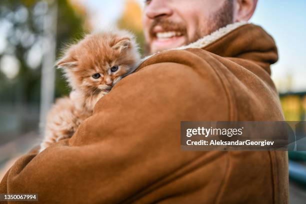 süßes paar findet und adoptiert streunende kätzchen draußen - leaflitter stock-fotos und bilder
