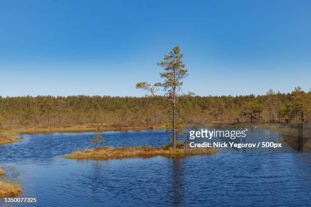 scenic view of lake against clear blue sky - hollow stock pictures, royalty-free photos & images
