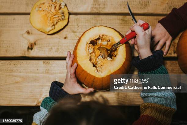 top down image of a child scooping out a ripe orange pumpkin, in preparation to carve for a traditional hallowe'en festival. - hollow stock pictures, royalty-free photos & images