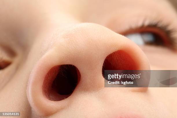 close up view of a child's nostrils - nose 個照片及圖片檔