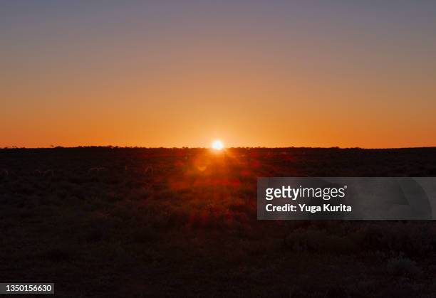 sunrise on the horizon in the outback of australia - south australia copy space stock pictures, royalty-free photos & images