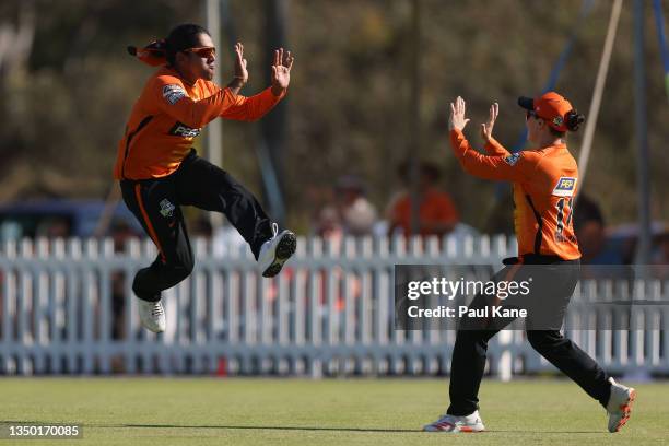 Chamari Athapaththu of the Scorchers celebrates with Heather Graham after taking a catch to dismiss Tahlia McGrath of the Strikers during the Women's...