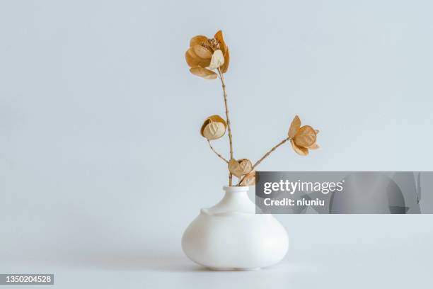 modern interior decoration, dried flowers and stylish ceramic vases - vaas stockfoto's en -beelden