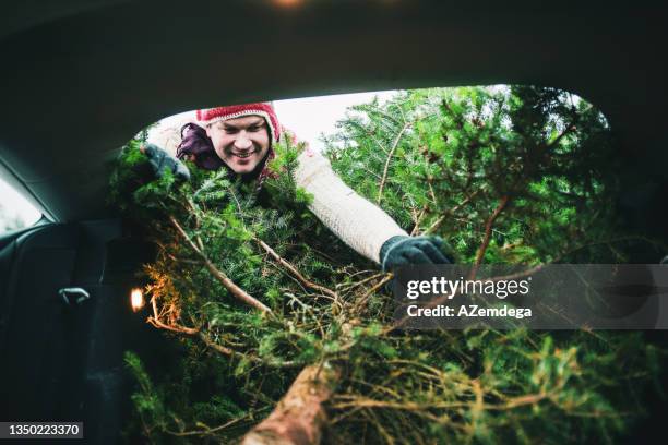 bringing home a christmas tree - christmas driving stockfoto's en -beelden