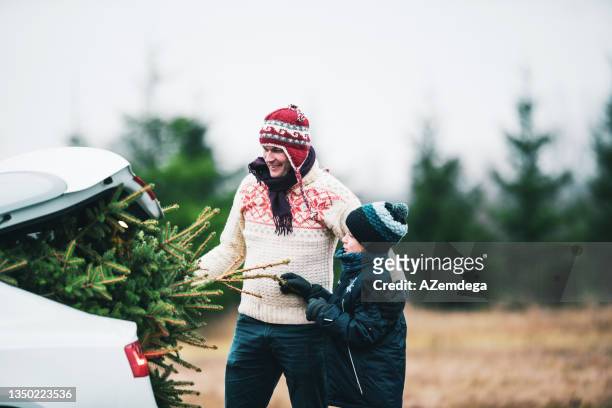bringing home a christmas tree - christmas driving stockfoto's en -beelden
