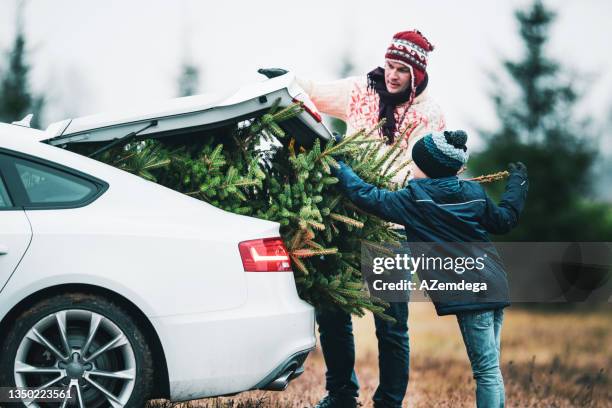 bringing home a christmas tree - christmas driving stock pictures, royalty-free photos & images