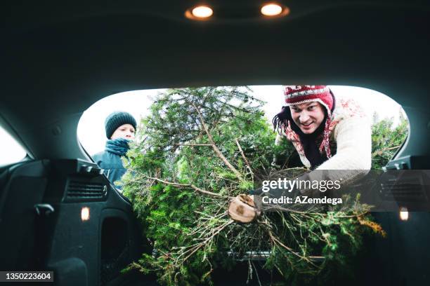 bringing home a christmas tree - christmas driving stock pictures, royalty-free photos & images