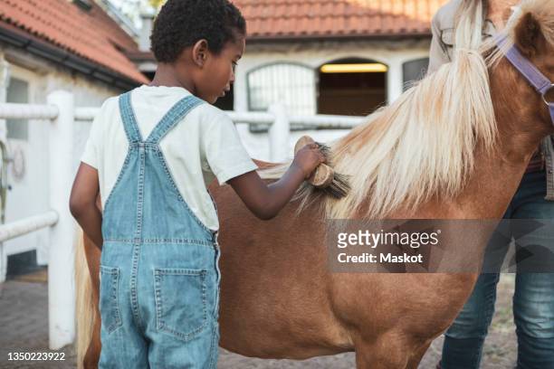 boy brushing horse in farm - pony stock pictures, royalty-free photos & images