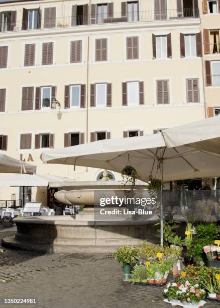 flower market in campo de fiori. - lisa fiori stock pictures, royalty-free photos & images