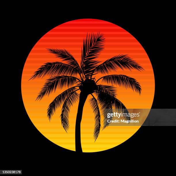 sunset with palm trees, sun and palm - pacific islands stock illustrations