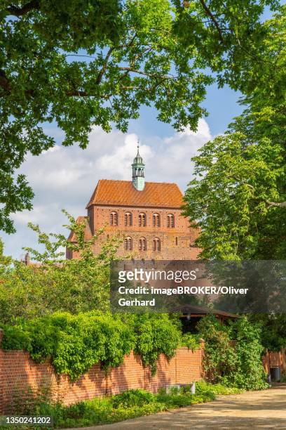 view from praelatenweg to st. mary's cathedral, havelberg, saxony-anhalt, germany - zwickau stock pictures, royalty-free photos & images