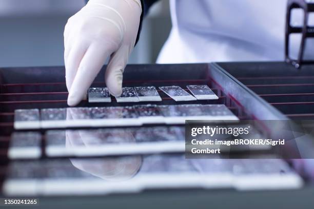 586 Tissue Sample Stock Photos, High-Res Pictures, and Images - Getty ...