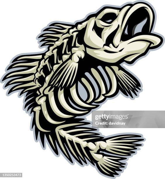 193 Ilustraciones de Esqueleto Pescado - Getty Images 193 Ilustraciones de Esqueleto Pescado - Getty Images
