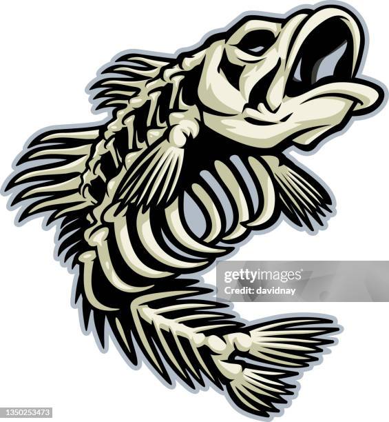 ilustraciones, imágenes clip art, dibujos animados e iconos de stock de esqueleto de bajo - fish skeleton