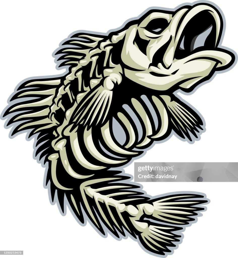 Bass Skeleton