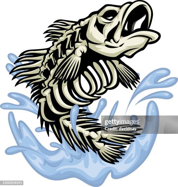 ilustraciones, imágenes clip art, dibujos animados e iconos de stock de bajo skeleton splash - fish skeleton