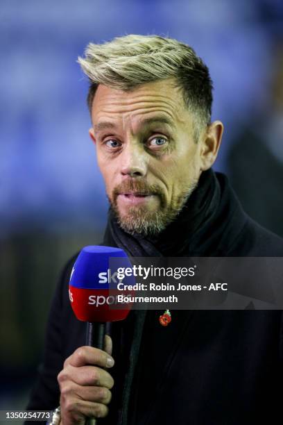 Ex Aston Villa player and now Sky Sports pundit Lee Hendry before the Sky Bet Championship match between Reading and AFC Bournemouth at Select Car...