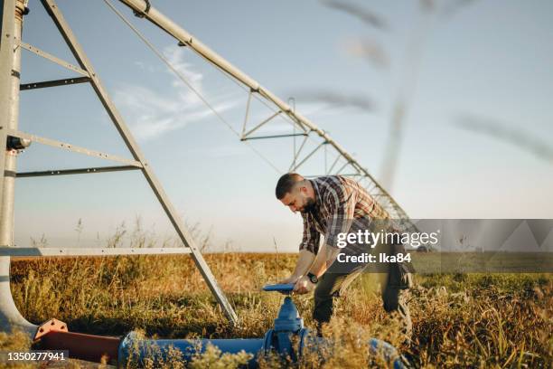 joven agricultor de pie en el campo de trigo y el sistema de riego de la instalación - equipos de riego fotografías e imágenes de stock